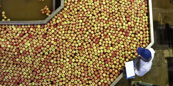 重塑零售和消费品供应链